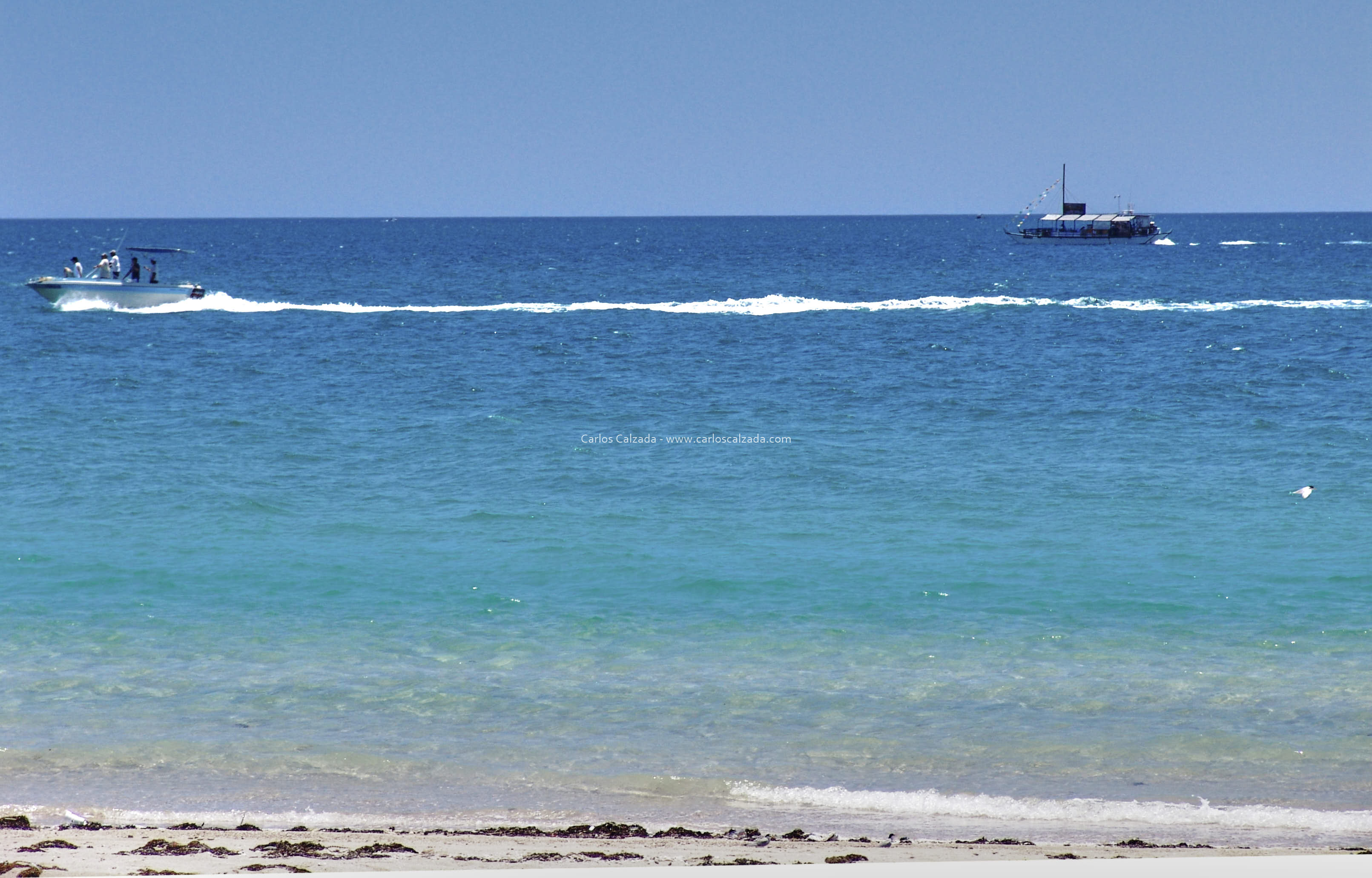 Arenosa_2008 (7).jpg